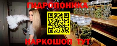 spice Аргун