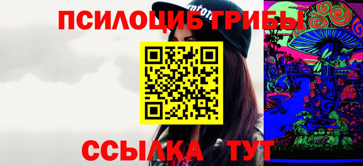 купить наркотики цена  Галлюциногенные грибы Psilocybine cubensis  Вход с VPN  Будённовск  Галлюциногенные грибы мицелий 